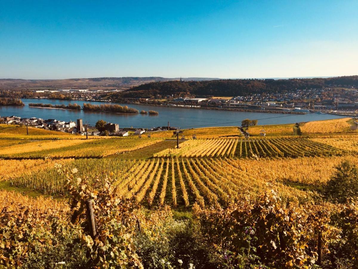 Altdeutsche Weinstube Hotel Rudesheim am Rhein Bagian luar foto